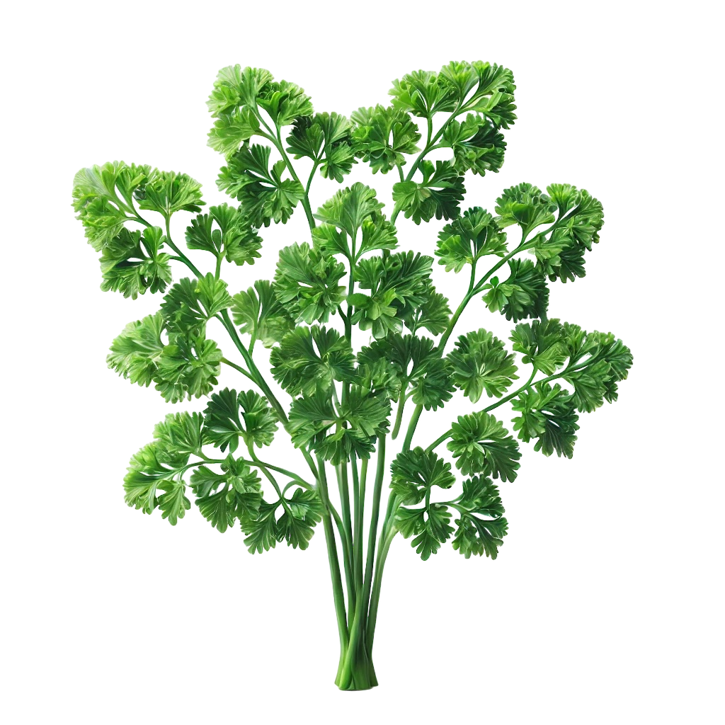 Parsley