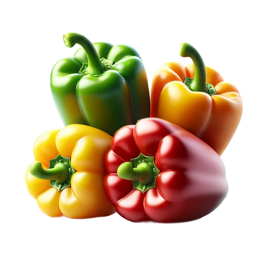 Capsicum