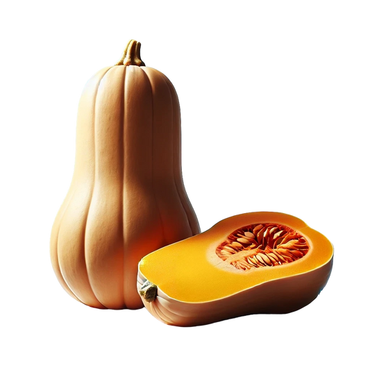 Butternut Squash