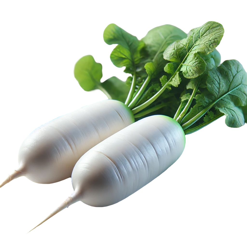 Radish