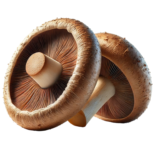 Mushrooms