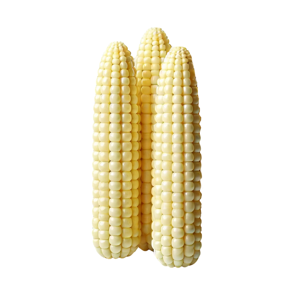 Corn