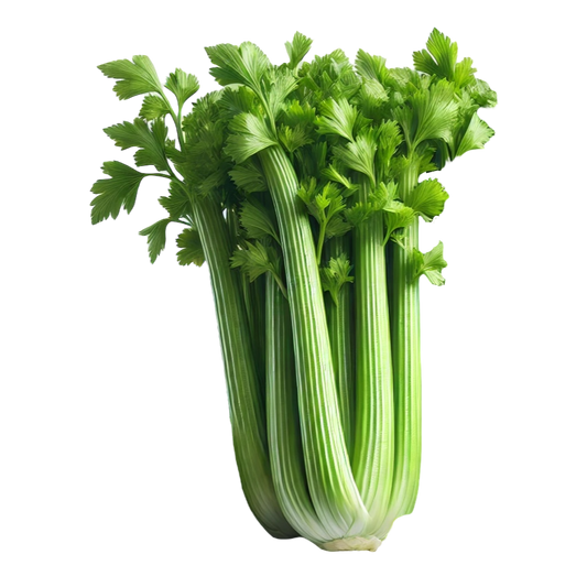 Celery