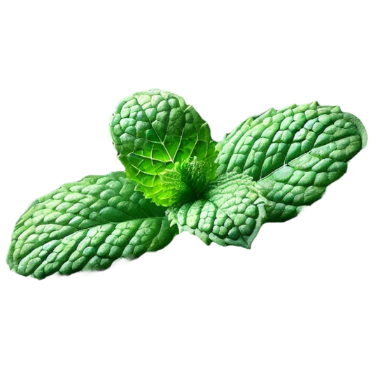 Mint Leaves