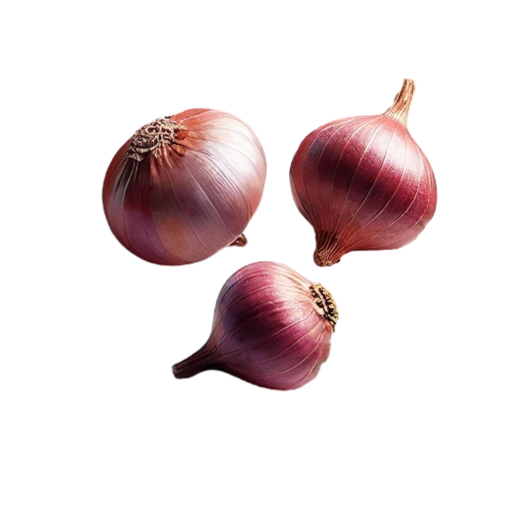 Onion