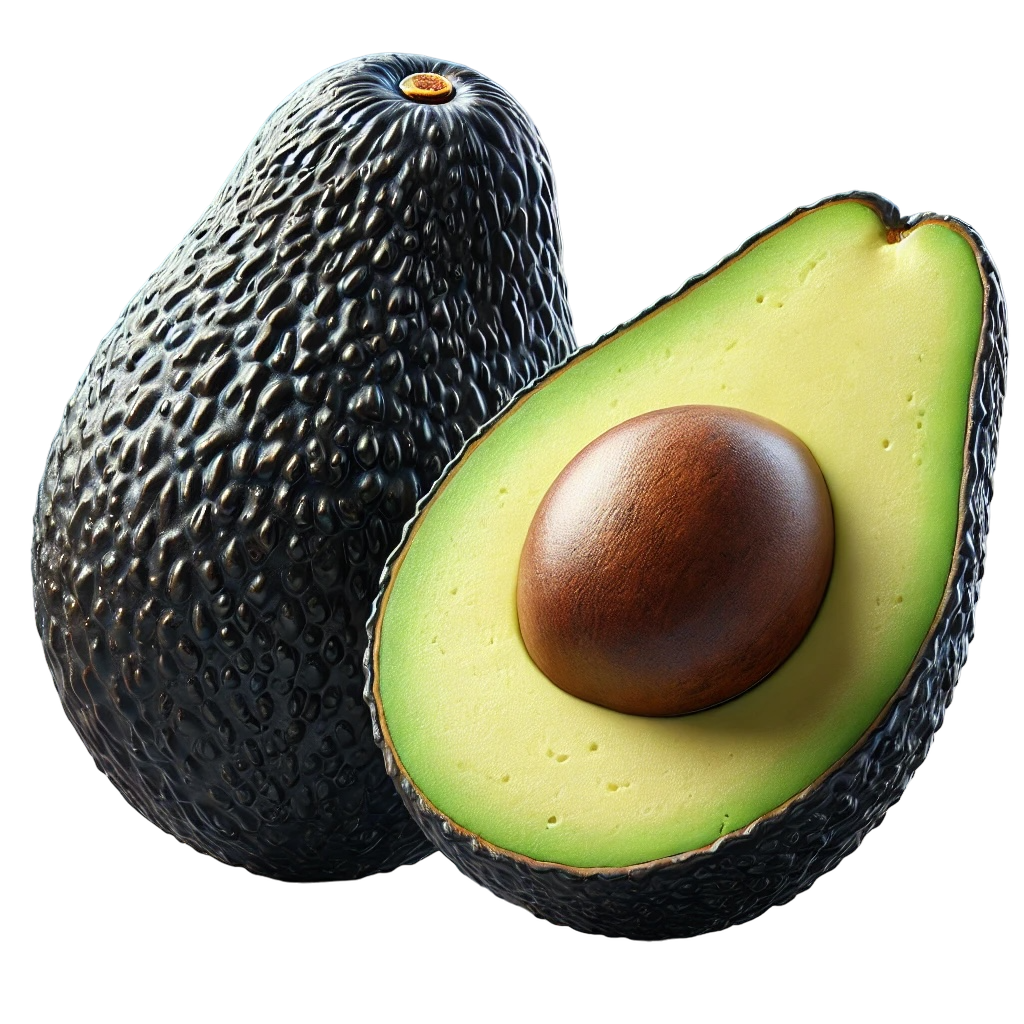 Avocado