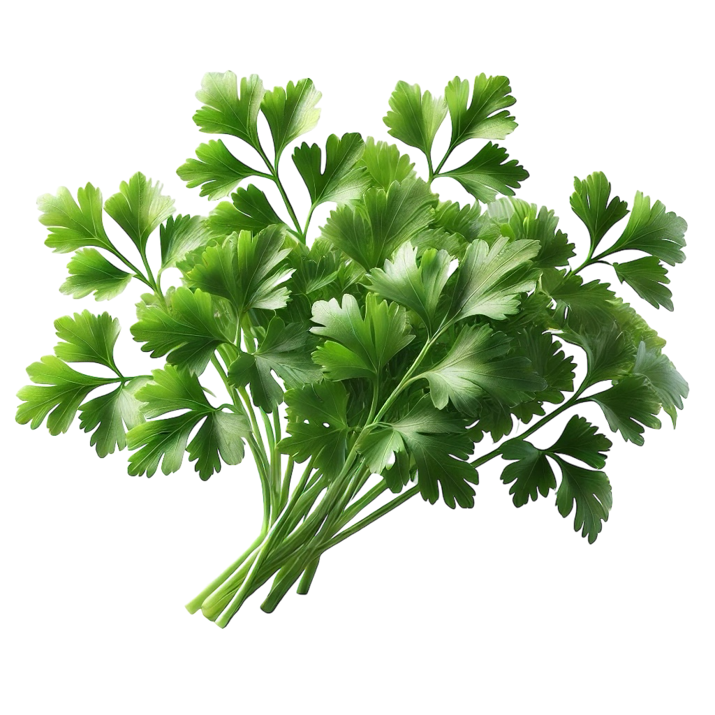 Parsley