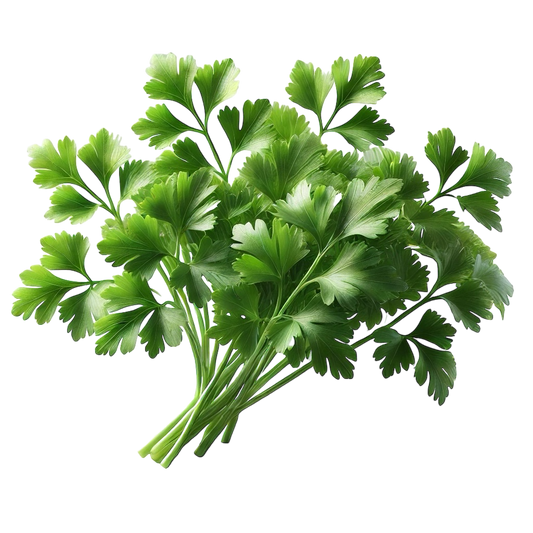 Parsley